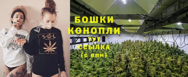 прущие крисы Белокуриха