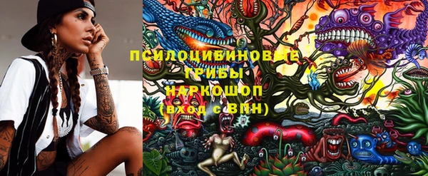 прущие крисы Белокуриха